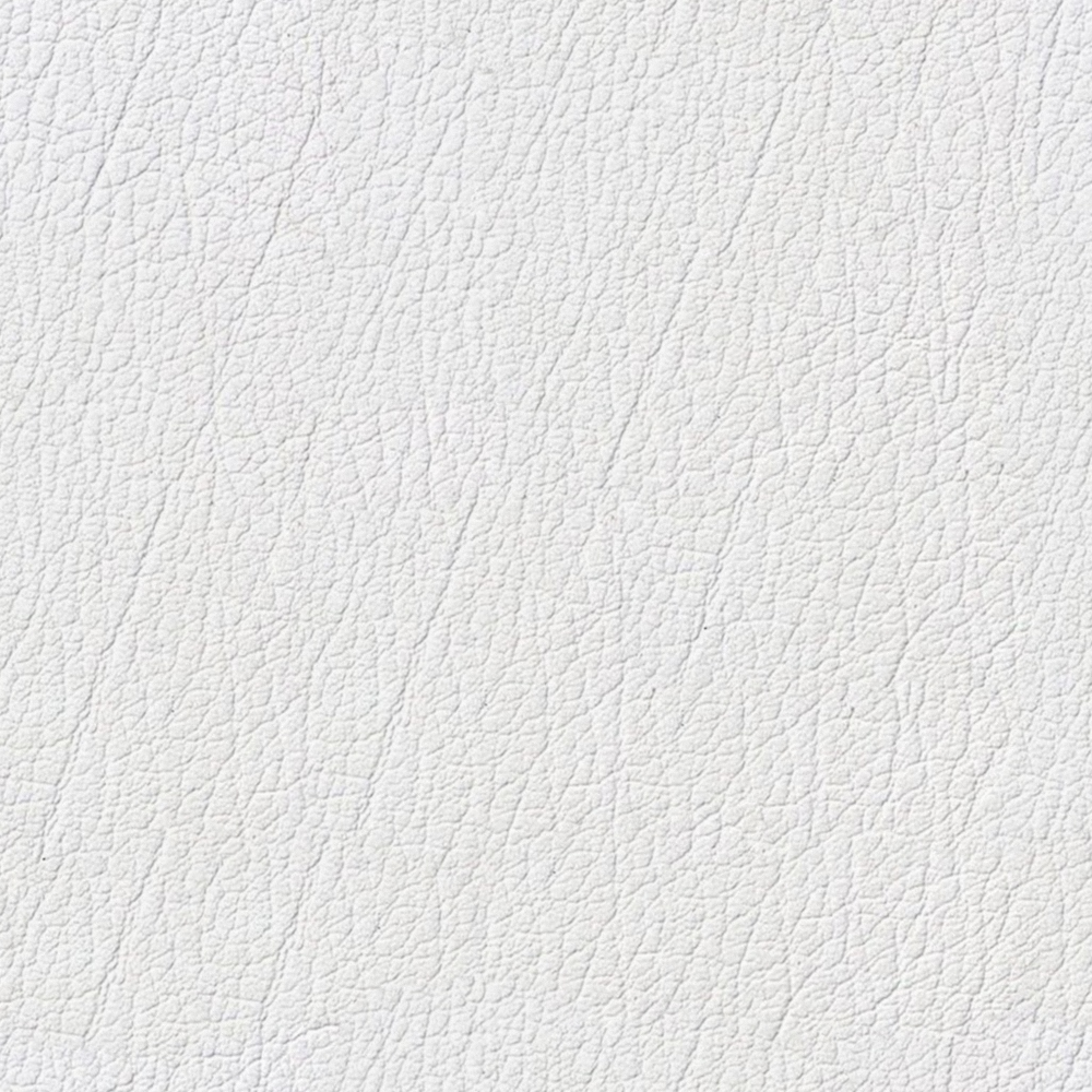 Leather texture