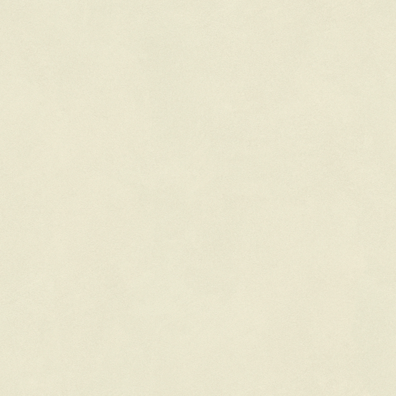 Micro-Cement 3D Model in Earth Color