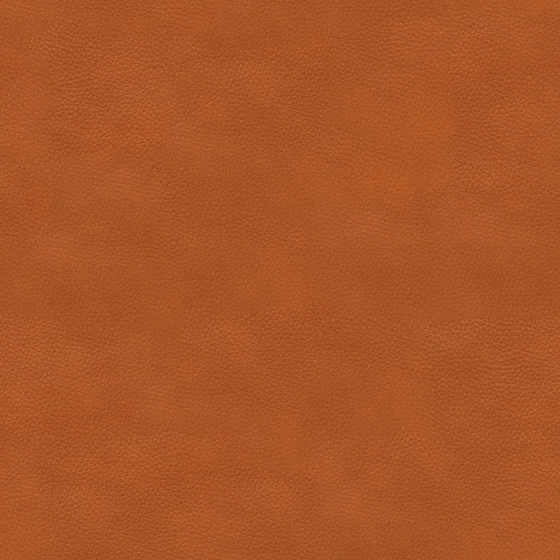 High-Quality Fine Grain Leather Material 3D Model