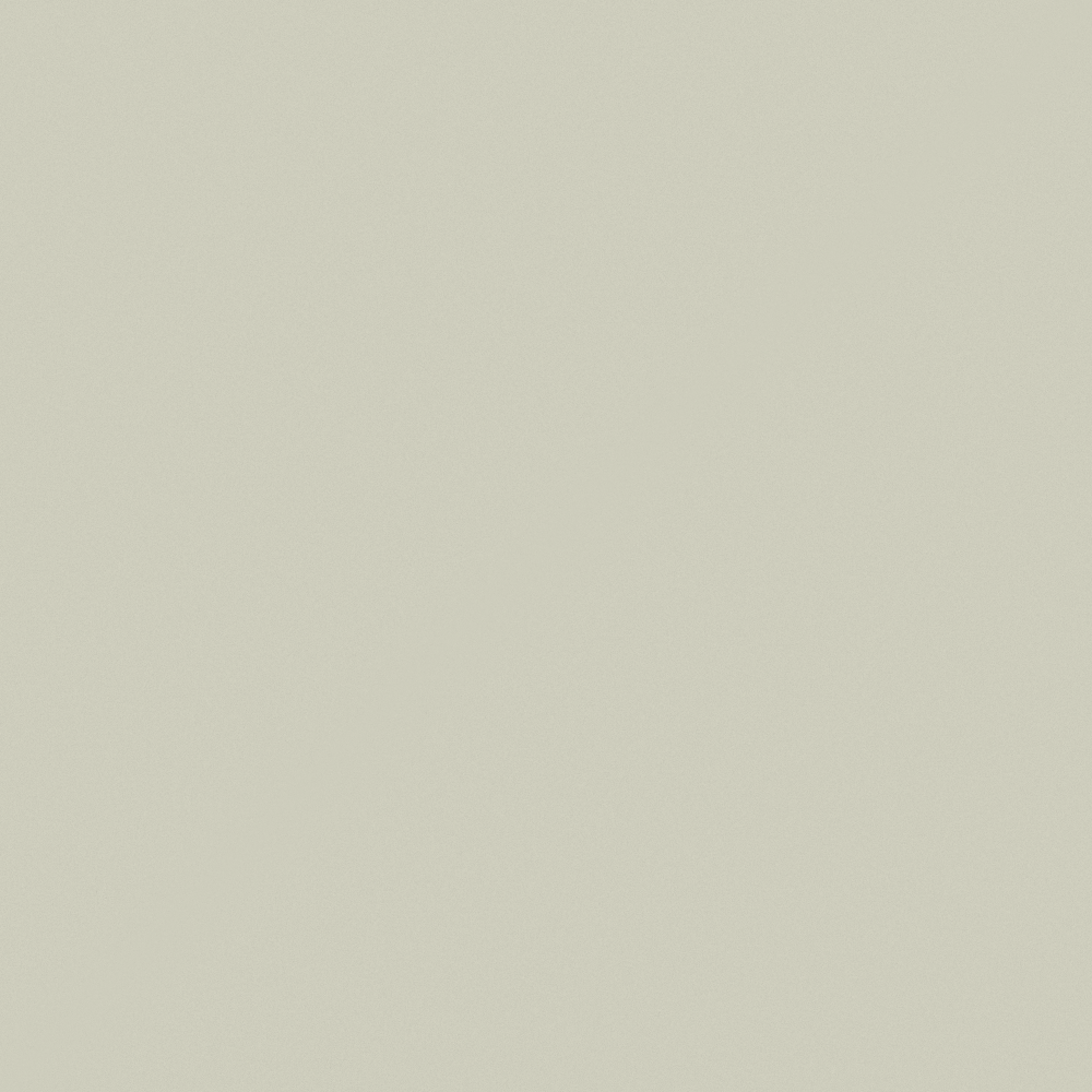 Solid light beige color swatch for interior paint or wall design on white background