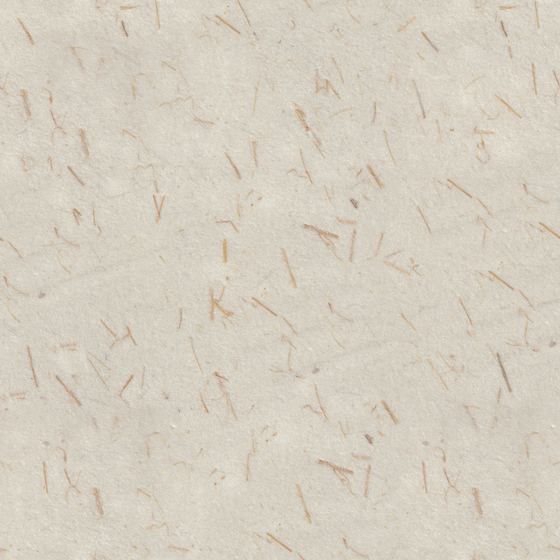 Earth Color Wall Paints/Coatings Model for Interiors