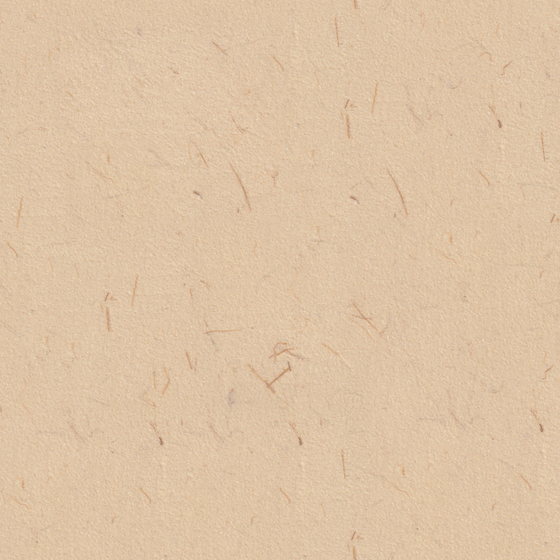 Wall paints/coatings