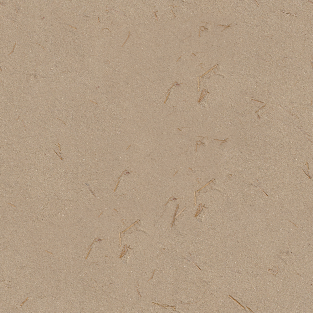 Straw paint -D glorious Holy Land