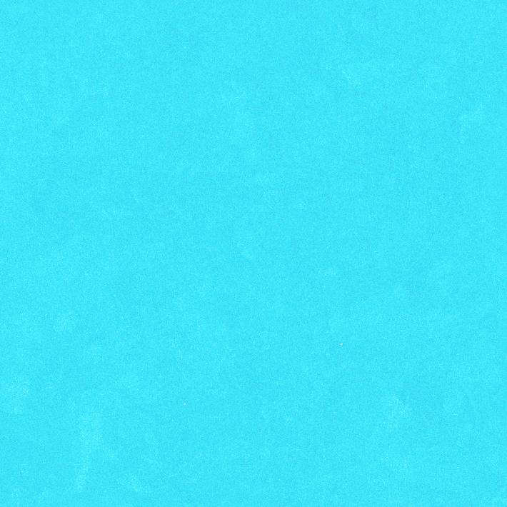 Crocodile-wall paint/paint