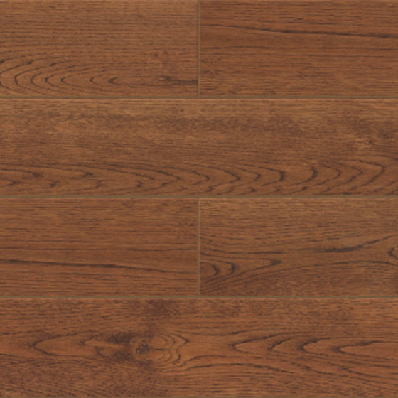 Earth Color Parquet High Gloss Floor 3D Model