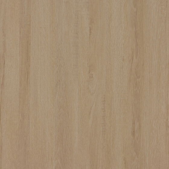 Natural Log Material 3D Model in Earth Color (Variation 13)