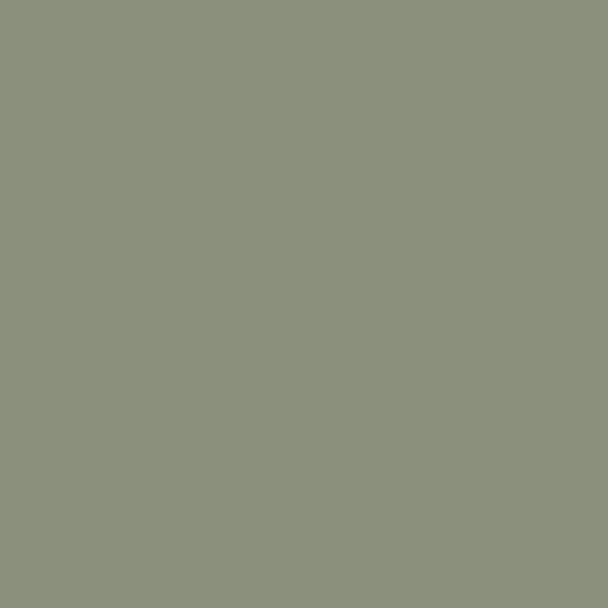 Dulux Olive Green Wall Paint 3D Model