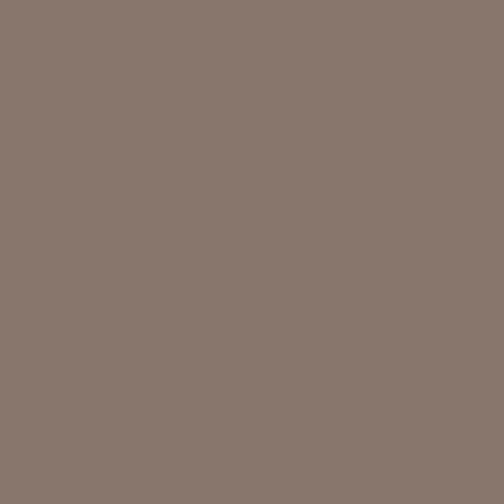 Earth Color Dorothy Wall Paints/Coatings 3D Model
