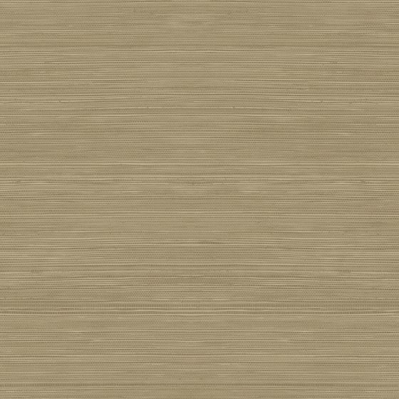 Classic Brown American Wallpaper 3D Model for Interiors