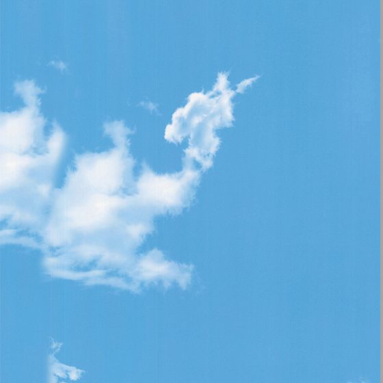 Blue Wallpaper 3D Model