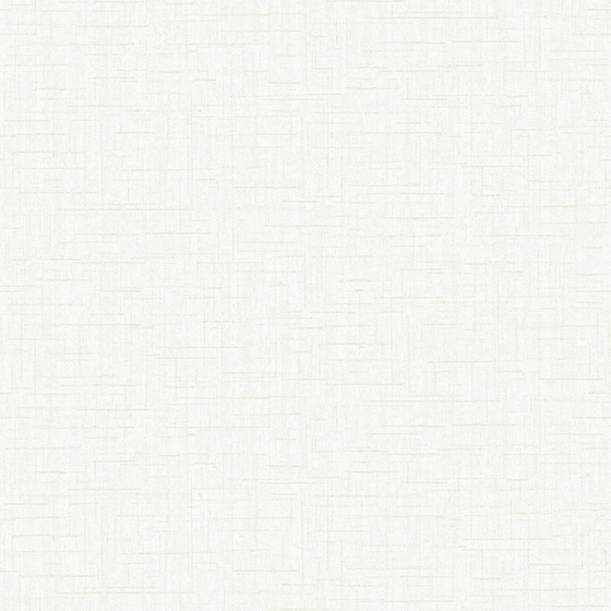 White Circular Mesh Wall Cloth