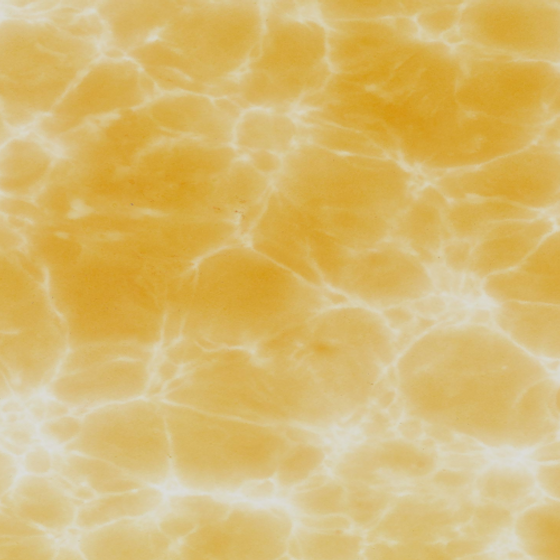 Natural Wood Transparent Stone 3D Model