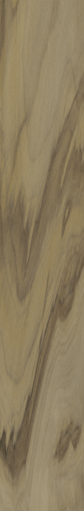 피아노 나무 FP9239