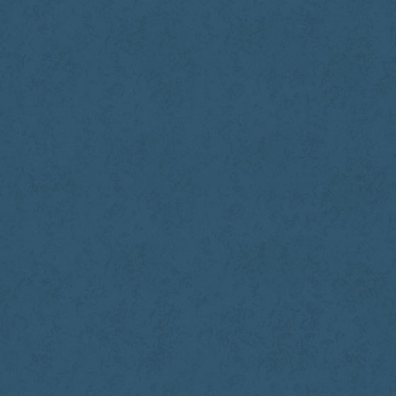 Wall paints/coatings