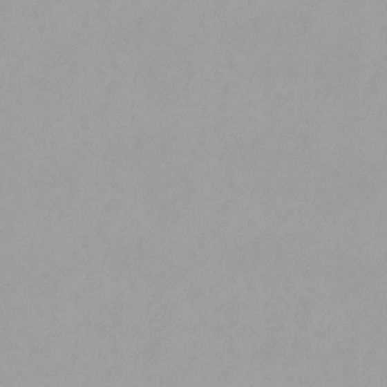 Gray Wall Paint Coating 3D Model