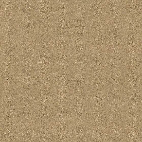 Wall Paints/Coatings in Brown