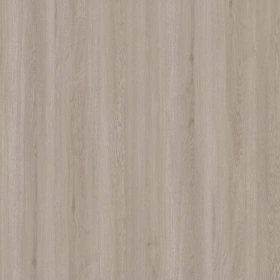 Gray Wood Grain Film 3D Model