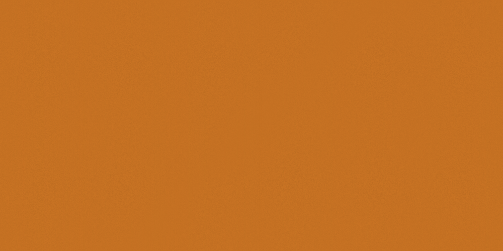 Simple Allen -9514 Hermes Orange - Skin Face