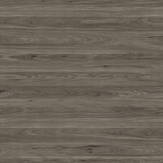 E0-8509 Milo Elm 3D Model in Gray