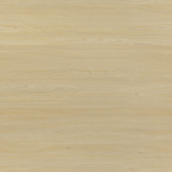 Italian White Maple Wood Veneer Panel 3D Model in Brown