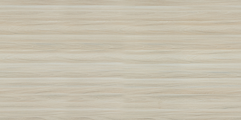 E0-8516_ Rhine White Maple