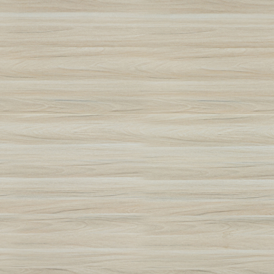 E0-8516 Rhine White Maple Veneer 3D Model in Earth Color