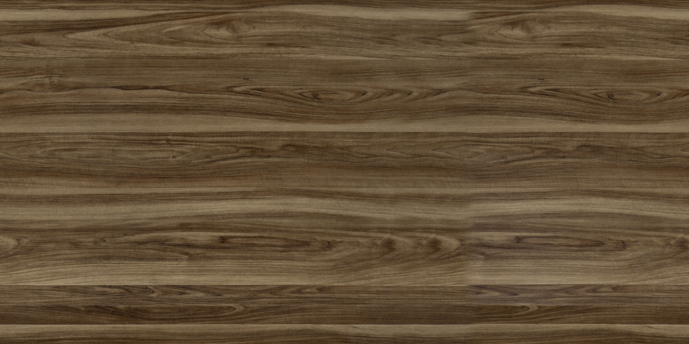 E0-1666_ European Walnut