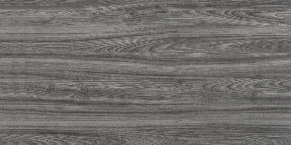 E0-9549_ Rhode Island Oak-2