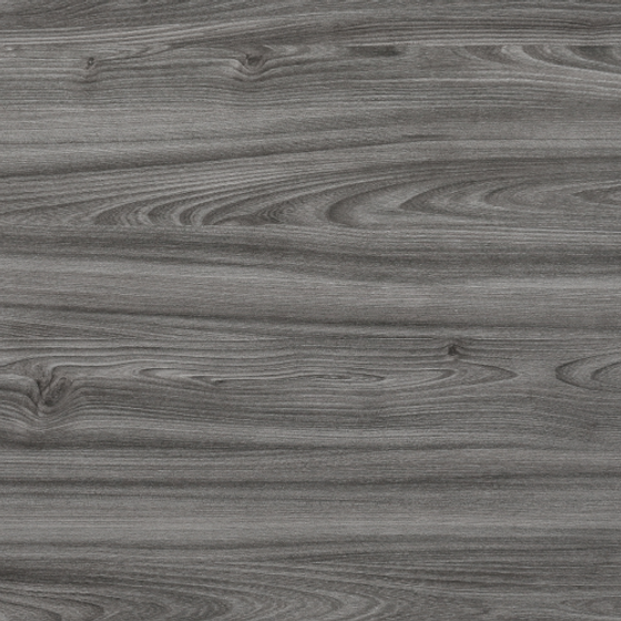 E0-9549_ Rhode Island Oak-2