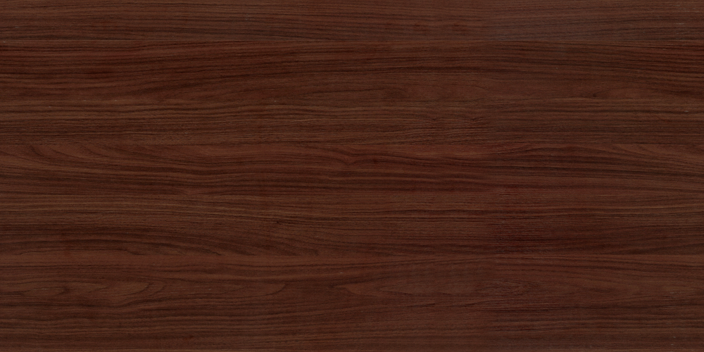 E0-9527_ North American Walnut -4