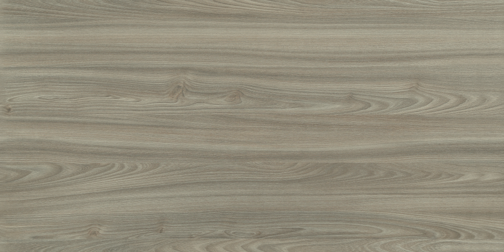 E0-9548_ Rhode Island Oak -1