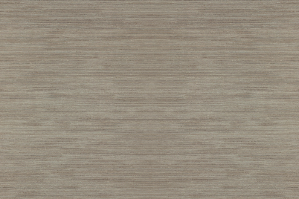 E1-9570_Autumn wood -5