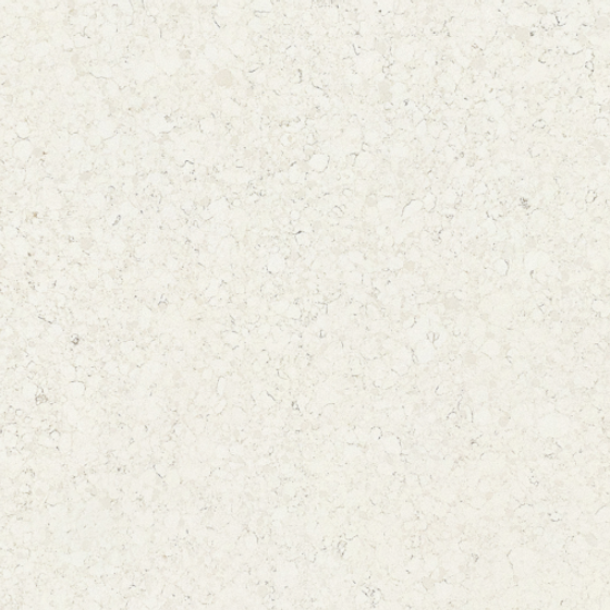 Warm Winter 3D Model in Earth Colors