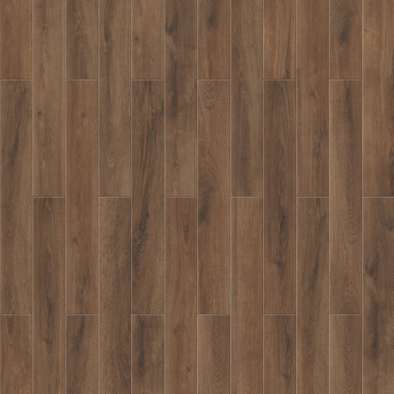 Earth Color Floor 3D Model