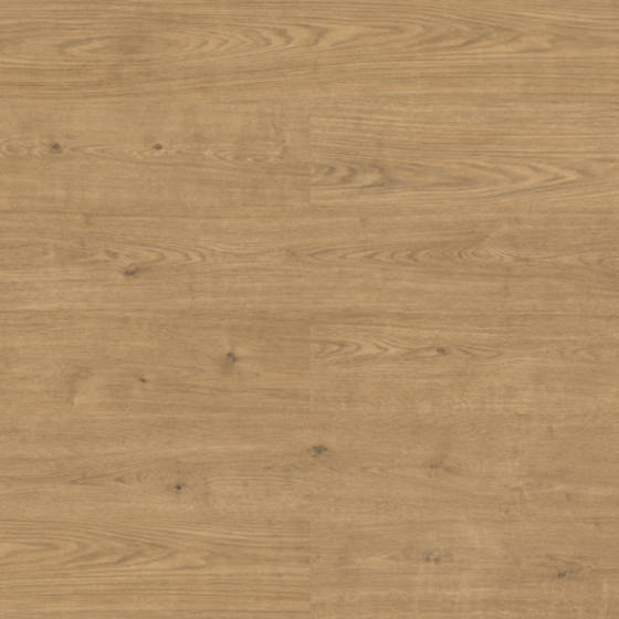 Brown Wood Grain Color 3D Model