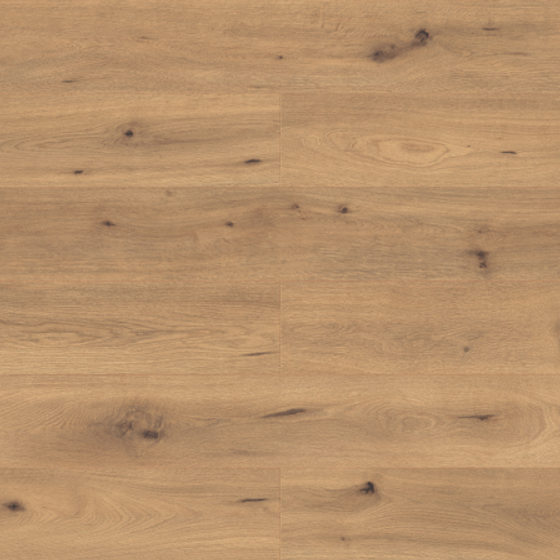 Wood Grain Decor 3D Model by EGGER