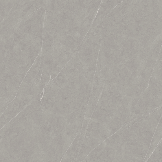 Stone Master Rock Slab Wall Tile 3D Model in Gray Finish