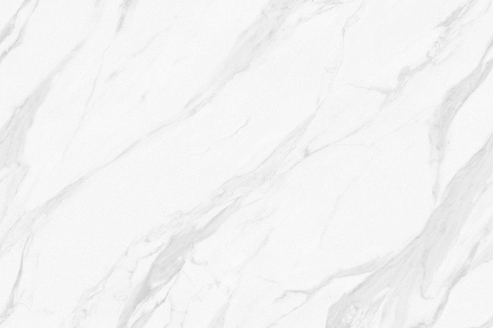 Stone Decoration Master - Vienna Fish White BJS241204- Rock board