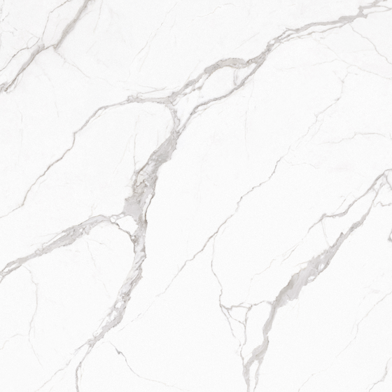 Stone Decoration Rock Plate 3D Model in White