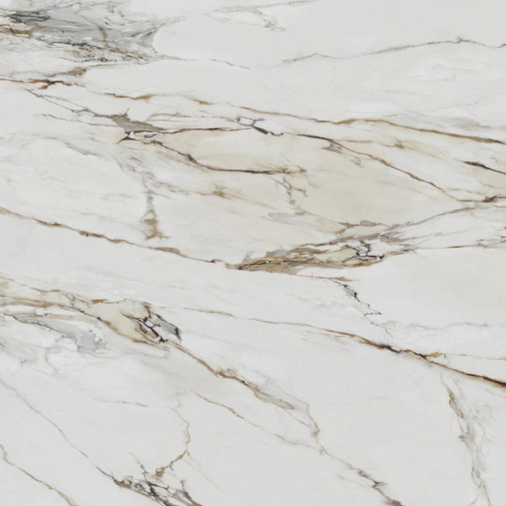 Earth Color Picasso Rock Plate 3D Model