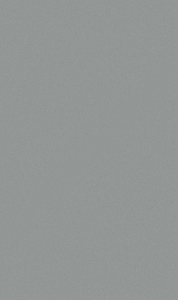 Stone Master - Rock slab - wall tile