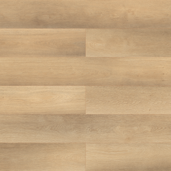 EGGER EHL087 Home Wood Grain Décor 3D Model