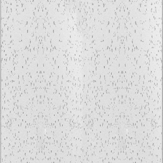 White Buckle Board 3D Model for Versatile Applications