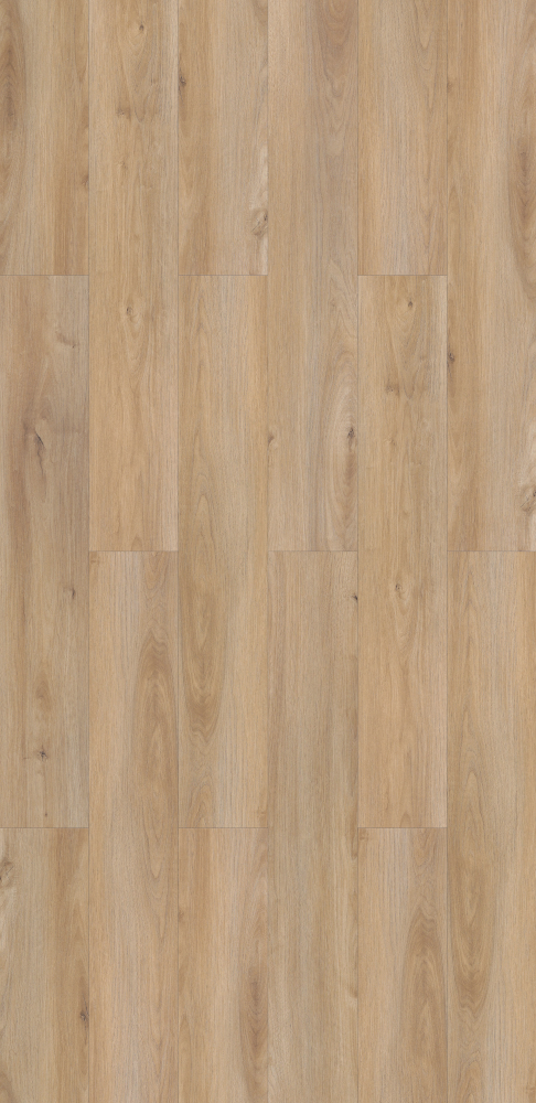 High Label Flooring Soft Light 3D Model