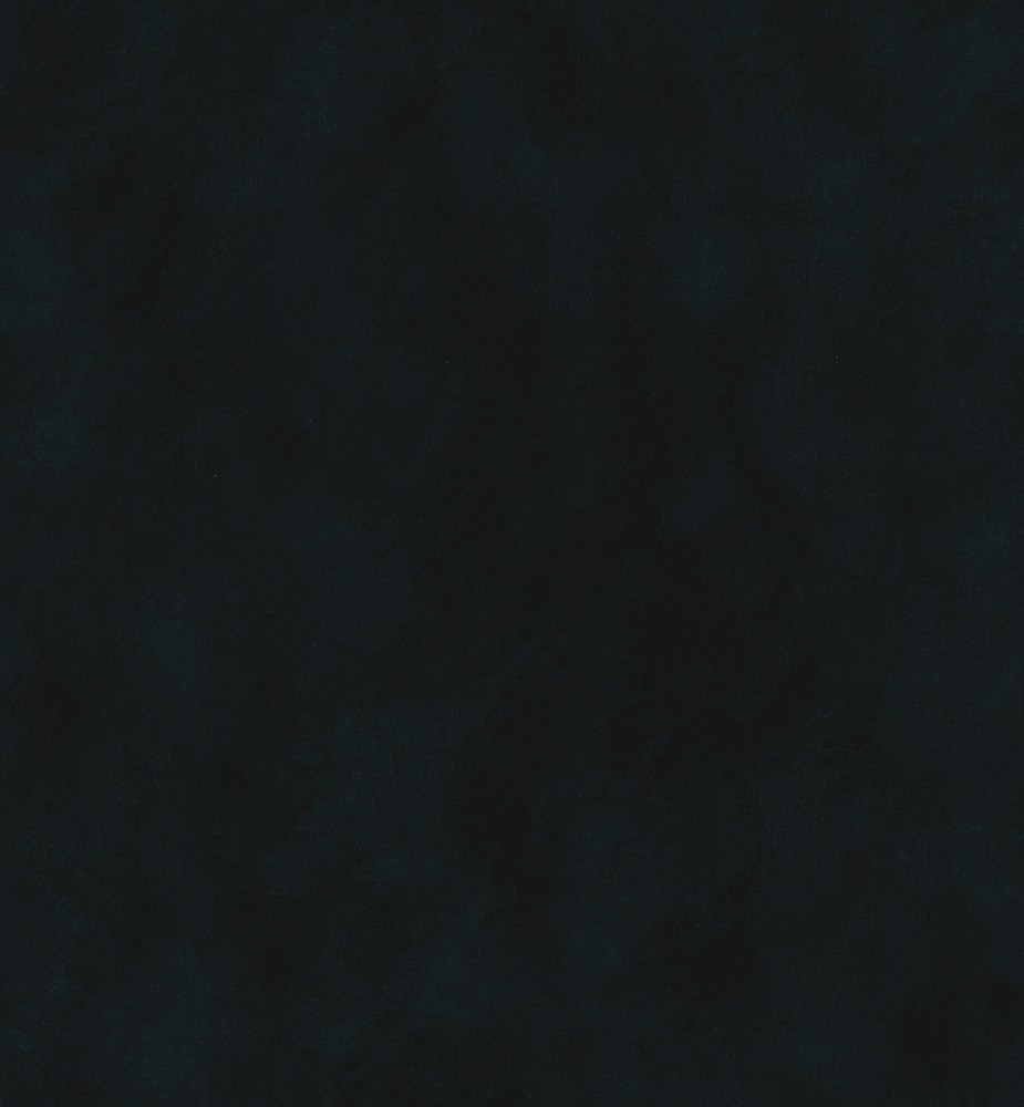 169 Base Cloth - Black Critine Wall Fabric