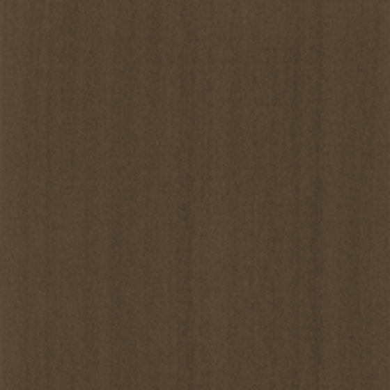 Eucalyptus 3D Model in Earth Color