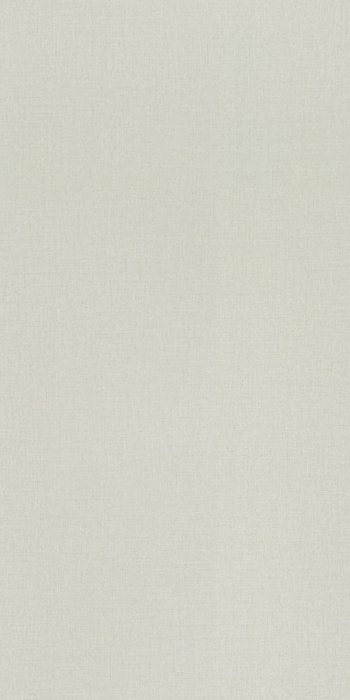 E0-1682_ White cloth grain