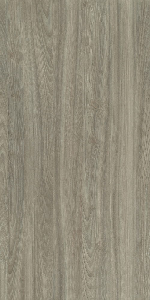 E0-9548_ Rhode Island Oak -1