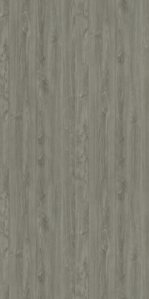 E0-8517_ Charlotte Elm