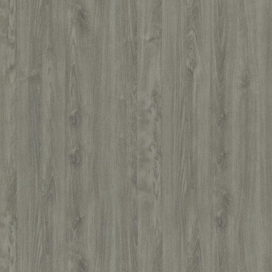 E0-8517 Charlotte Elm 3D Model in Earth Color
